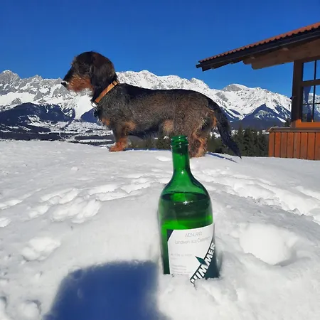 아파트 Haus Rigl *